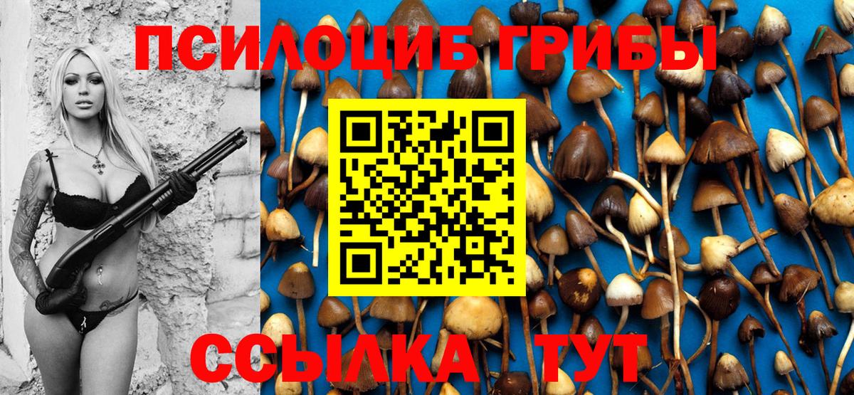 Керчь  Галлюциногенные грибы Psilocybine cubensis  Вход с VPN  Псилоцибиновые грибы мицелий 